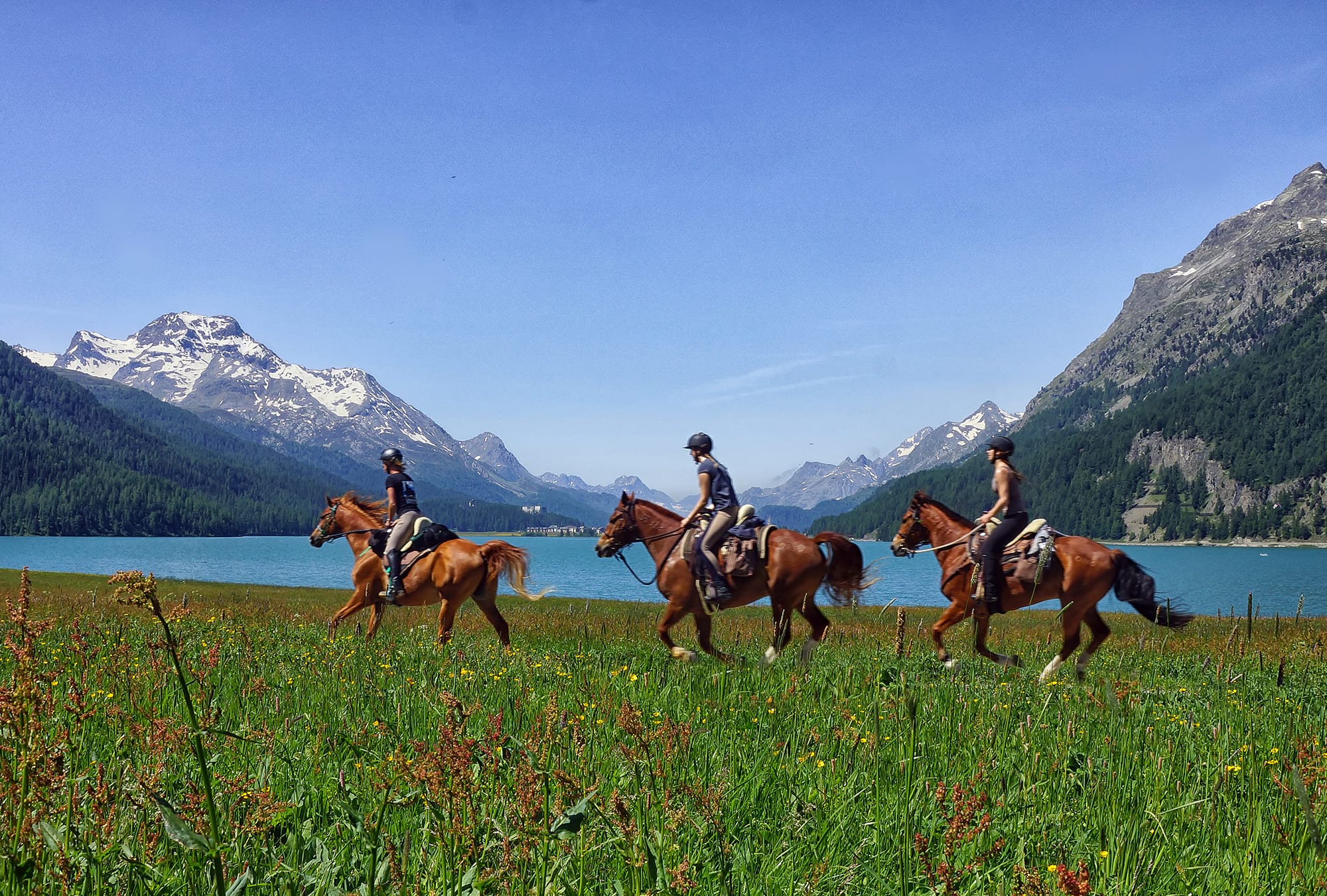 Engadin River Ranch : box et paddocks, pension pour chevaux à Madulain - Photo 2 sur 2