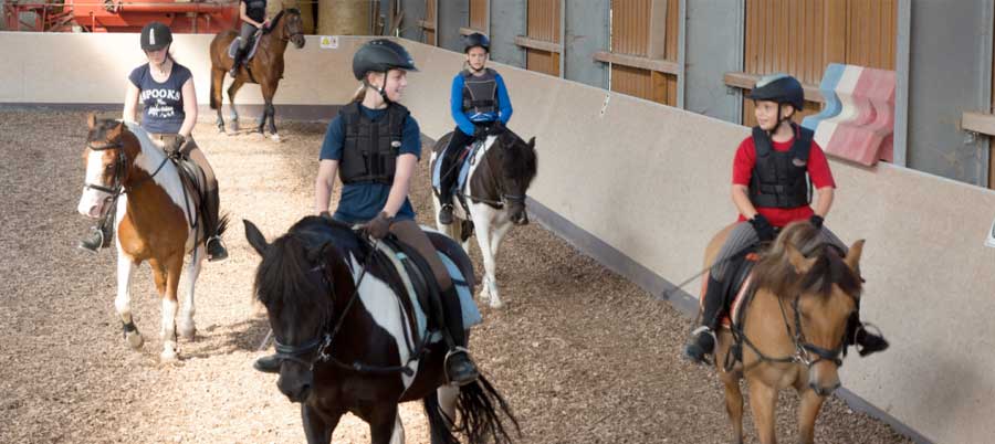 Alter Gutshof Papstdorf : box et paddocks, pension pour chevaux à Gohrisch - Photo 1 sur 3