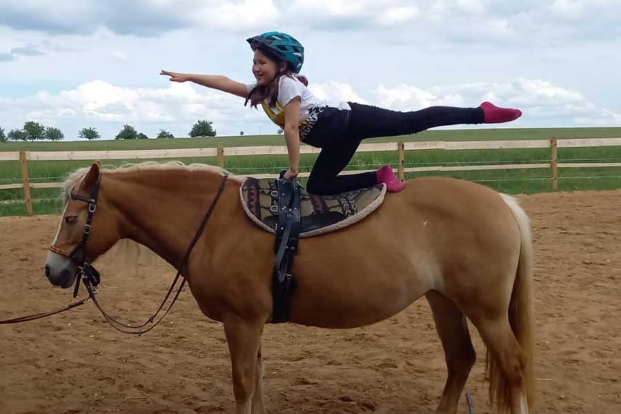 Alter Gutshof Papstdorf : box et paddocks, pension pour chevaux à Gohrisch - Photo 3 sur 3