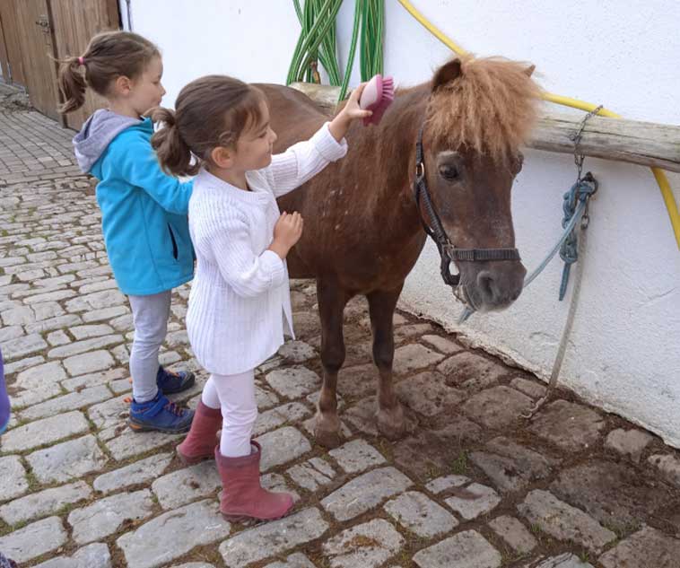 Alter Gutshof Papstdorf : box et paddocks, pension pour chevaux à Gohrisch - Photo 2 sur 3