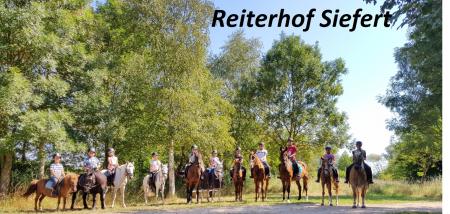 Ferien- und Reiterhof Siefert : box et paddocks, pension pour chevaux à Wustrow - Photo 1 sur 3
