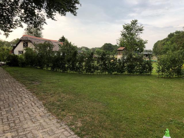 B&B 't Labyrint : box et paddocks, pension pour chevaux à 't Harde - Photo 2 sur 2