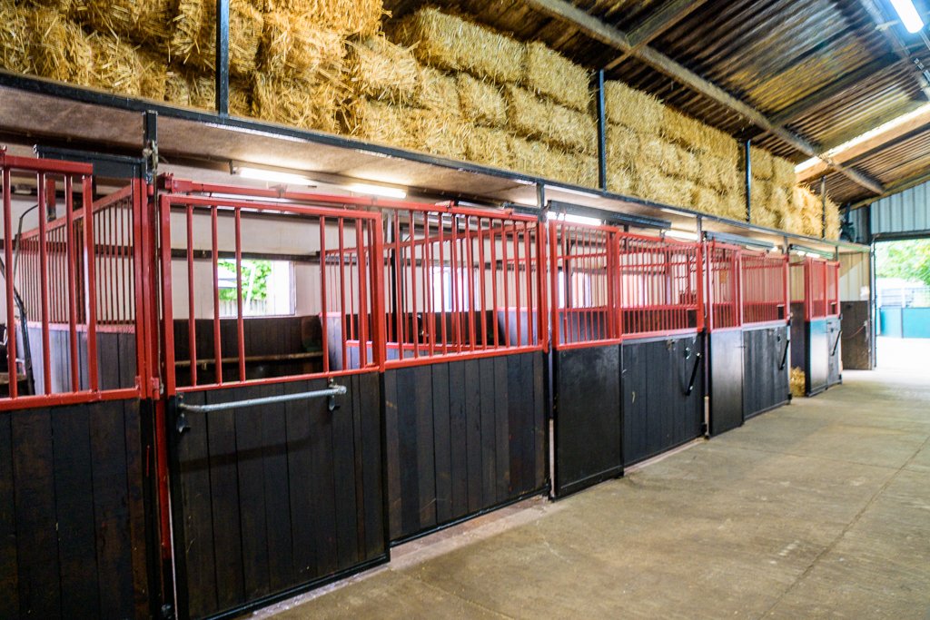 Recreatiecentrum De Grensrakkers : box et paddocks, pension pour chevaux à Strijbeek - Photo 2 sur 2
