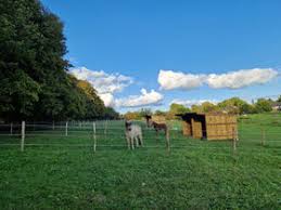 Habitat Beauwelz : box et paddocks, pension pour chevaux à Beauwelz (Momignies) - Photo 2 sur 2