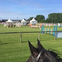 EARL Les Écuries d Haravilliers : box et paddocks, pension pour chevaux à Haravilliers - Photo 4 sur 5