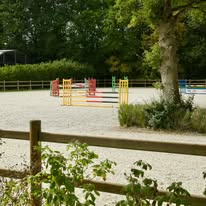 EARL Les Écuries d Haravilliers : box et paddocks, pension pour chevaux à Haravilliers - Photo 5 sur 5