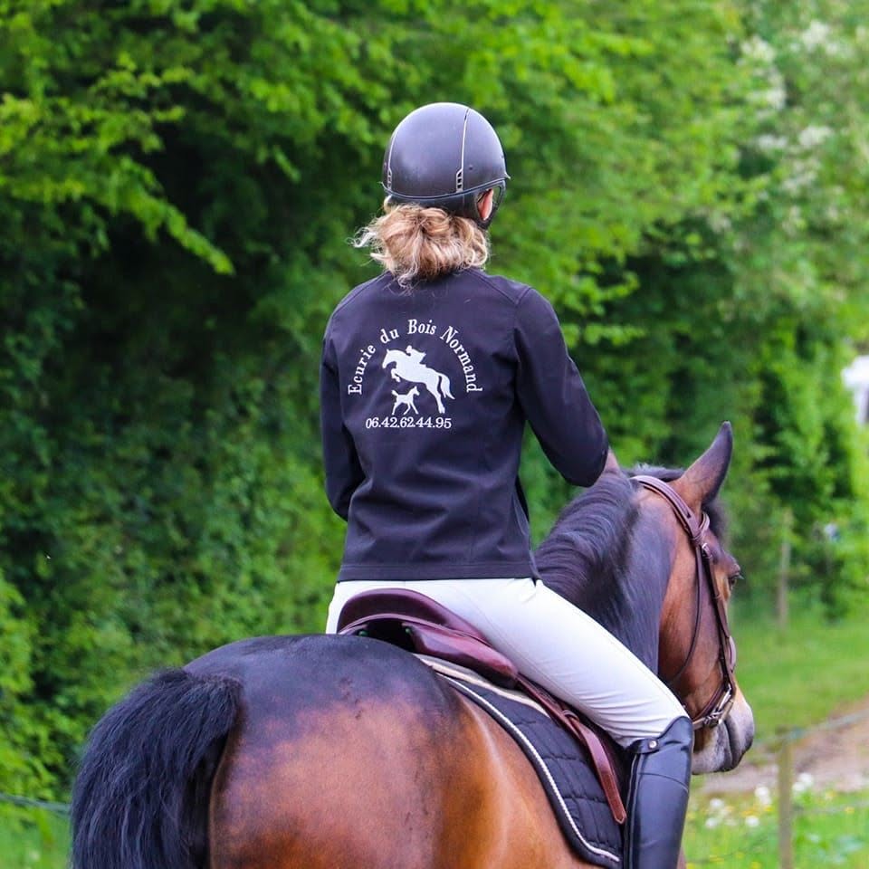 Ecurie du Bois normand : box et paddocks, pension pour chevaux à Coulombiers - Photo 1 sur 5