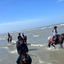 Club hippique de Menneville : box et paddocks, pension pour chevaux à Menneville - Photo 1 sur 4