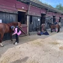 Club hippique de Menneville : box et paddocks, pension pour chevaux à Menneville - Photo 2 sur 4