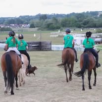 Écurie OLIVIER : box et paddocks, pension pour chevaux à Saint-Planchers - Photo 3 sur 5