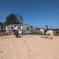 Écurie OLIVIER : box et paddocks, pension pour chevaux à Saint-Planchers - Photo 5 sur 5