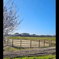 Ecurie Robin Verlhac : box et paddocks, pension pour chevaux à Créon - Photo 4 sur 5