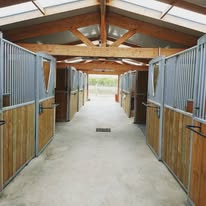 Ecurie Robin Verlhac : box et paddocks, pension pour chevaux à Créon - Photo 5 sur 5